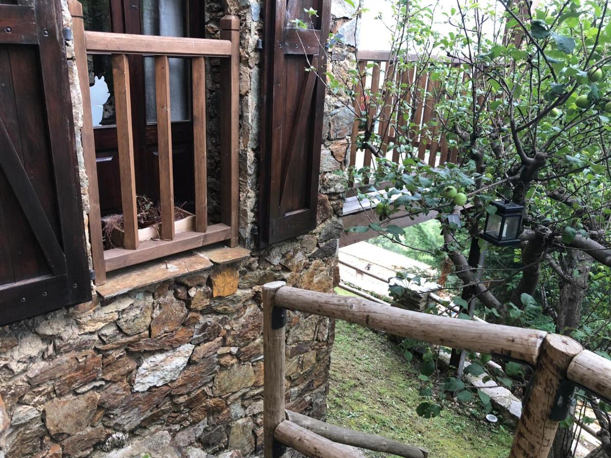 Casa Rural Pirineu Neva エクステリア 写真