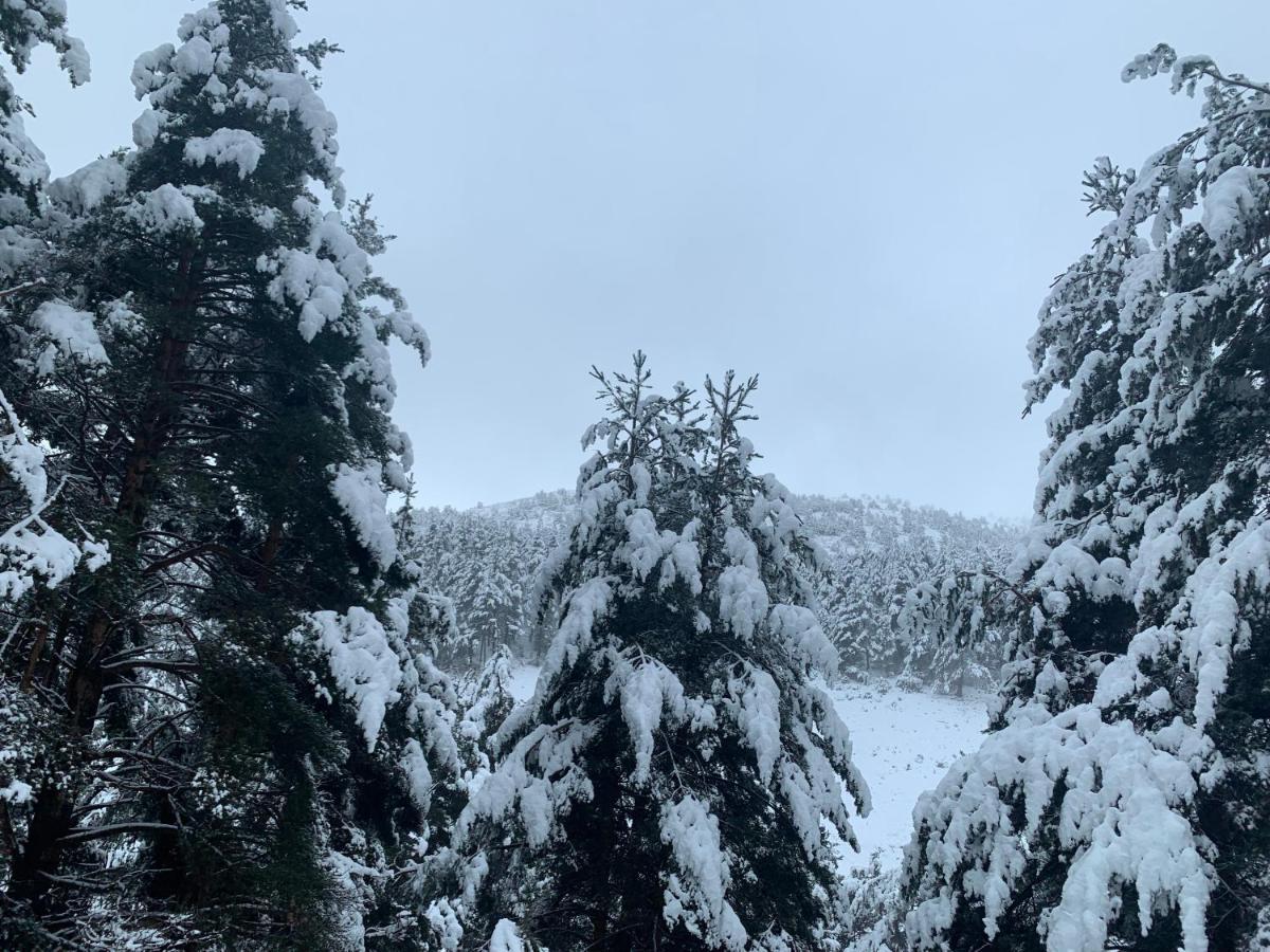 Casa Rural Pirineu Neva エクステリア 写真